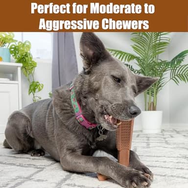 SPOT Bam-Bones Plus T Bone - Bamboo Fiber & Nylon Dog Chew Toy for Moderate to Aggressive Chewers, Non-Splintering, Long-Lasting, 7in Beef Flavor, for Adult Dogs & Teething Puppies Under 90lbs - Image 5