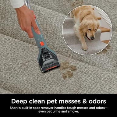 Shark CarpetXpert Upright Carpet, Area Rug & Upholstery Cleaner, Built-In Spot & Stain Remover & XL Tool, Perfect for Pets, Carpet Shampooer, 3 Cleaning Tools, Cleaning Solution, Slate Green, EX151 - Image 5