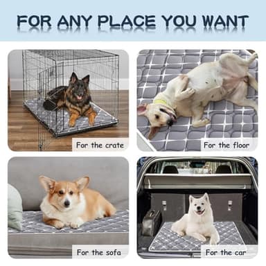 Bubble bear Dog Crate Mat - Ultra Soft, Washable & Anti-Slip Kennel Pad for Small/Medium/Large Dogs, Dark-Hued to Hide Stains (36"x23") - Image 3