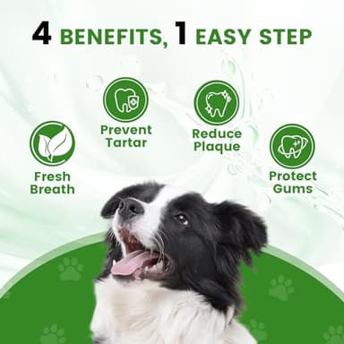 Dog Breath Freshener – Enzymatic Dog Dental Water Additive for Teeth Claning – Freshens Breath & Reduces Tartar – Easy Mouthwash Cleaner for Teeth & Gums – No Brushing Needed, Uncented, 16oz - Image 2