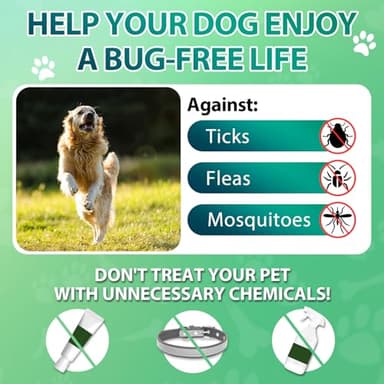 Carmelie Flea and Tick Prevention for Dogs Chewables - 200 Soft Chews Natural Dog Flea and Tick Chewables, Oral Flea Supplement for Dogs, Puppy Flea Support - All Breeds & Ages - Chicken Flavor - Image 6