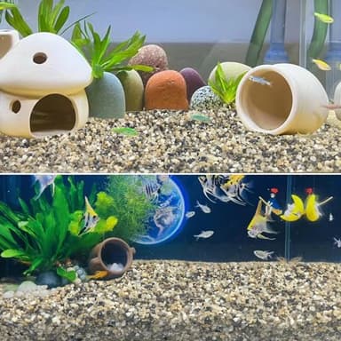 SHIZWU 10LB Coarse Sand,Colored Rocks Pebbles, Quartz Sand for Cactus Bonsai, Succulent Plant Bonsai Paving, Vase Filling Decoration, Natural Sand for Fish Tank Decoration Paving(2-4mm) - Image 5