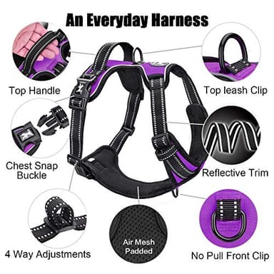 PoyPet No Pull Dog Harness, Reflective Comfortable Vest Harness with Front & Back 2 Leash Attachments and Easy Control Handle Adjustable Soft Padded Pet Vest for Small to Large Dogs (Purple,M) - Image 6