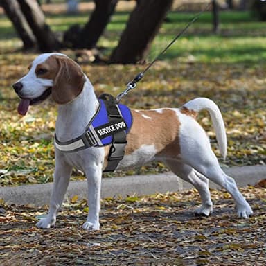 JSXD Dog Harness,No-Pull Service Dog Harness with Handle Adjustable Outdoor Pet Dog Vest 3M Reflective Nylon Material Vest for Breeds,Easy Control for Small Medium Large Dogs - Image 7