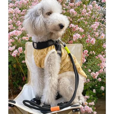 Maogoublue 2.29FT Dog Leash for Small Medium Large Dogs with 360° Rotating Alloy Buckle, Innovative Design, Adjustable Comfortable Handle and Sturdy Polyester Material (Pink) - Image 7