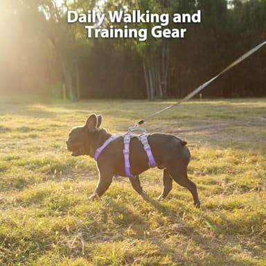 Huntboo Escape Proof Dog Harness,No Pull Reflective Harness with Lift Handle,Adjustable Pet Vest with Front and Back Leash Clips for Small Medium Large Dogs Walking Hiking Training(Lavender Purple,XL) - Image 7