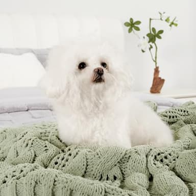 Amélie Home Chunky Knit Throw Blanket, Dual-Sided Soft Chenille Breathable Cable Knitted Blanket for Couch, Farmhouse Decorative Throw for Sofa & Chair, 50"x60", Sage Green - Image 9