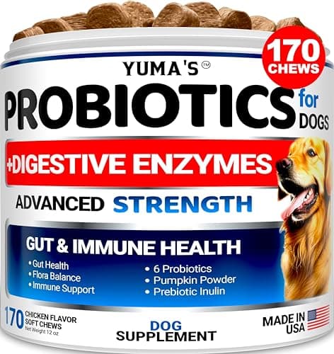 Probiotics for Dogs and Digestive Enzymes - 170 Dog Probiotics Chews - Dog Probiotic - Anti Diarrhea, Upset Stomach & Gas Relief, Constipation, Canine Prebiotic - Pet Fiber Supplement - Gut Health - Image 1