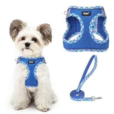 PUPTECK Dog Harness and Leash Set for Small Medium Dogs No Pull Step-in Soft Mesh Puppy Cat Vest Harnesses Reflective at Night, Upgraded New Blue XS - Image 1