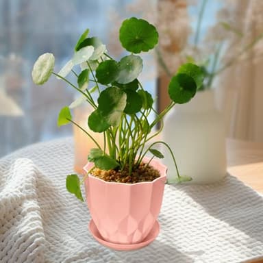 Vodotion Flower Pots, 8.3/7.1/5.9/4.3 inch Nursery Plant Pot with Drainage Holes and Hole Mesh Pad and Saucers Tray for Indoor Garden Plants, Succulent, Orchid and Cactus - Image 4