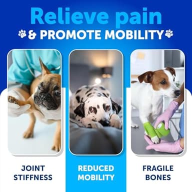 Hemp Hip and Joint Supplement for Dogs - Glucosamine for Dogs Joint Pain Relief - Chews with Chondroitin, MSM, Hemp Oil - Mobility Support, Cartilage Health - For Large, Small breeds - 120 Soft Treats - Image 3