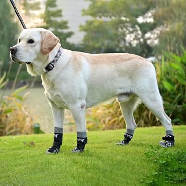 KOOLTAIL Dog Socks for Hot/Cold Pavement to Prevent Licking Paws,Dog Boots&Paw Protector for Hardwood Floors Anti Slip,Traction Control No Twist Grip Booties for Small Medium Large Senior Dogs L - Image 8