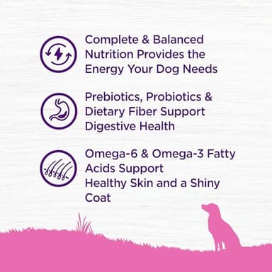 Wellness Complete Health Dry Dog Food for Small Dogs, Toy Breed, Wholesome Grains, Natural, Chicken, Brown Rice, & Peas Recipe, 4-Pound Bag - Image 4