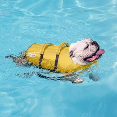 Outward Hound Granby Splash Dog Life Jacket, High-Buoyancy Dog Life Vest for Swimming, Boating, and Water Safety, Large, Yellow - Image 6