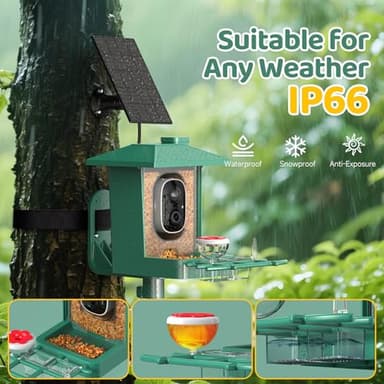 Bird Feeder with Camera Outdoor Solar: Smart Birdfeeder with AI Recognition - 2K HD Live Stream Video Camera for Outside Wild Birds Garden Decor - Bird Lover Gifts - Image 6