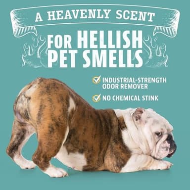 ANGRY ORANGE Pet Odor Eliminator for Dog and Cat Urine, Carpet Stains, and Strong Smells – Citrus Cleaner with Natural Orange Oil – 24 oz - Value 2 Pack - Image 6