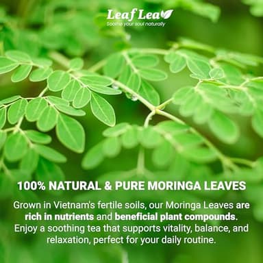 LeafLea 40 Moringa Tea Bags, 100% Natural and Pure Moringa Leaf Herbal Tea, Supports Digestion and Immune Health, Caffeine-Free, Sugar-Free, Vegan - Image 2
