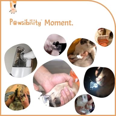 Pawsibility - Reinvented Pet Nail Clippers for Your Pal - USB Rechargeable LED Light for Bloodline | Razor Sharp and Durable Blade | Vets Recommended Trimming Tool for Dogs and Cats - Pink - Image 5