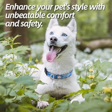 JC HOUSE Soft Padded Dog Collar, Neck 16’’-25’’, Adjustable Heavy Duty Collar with 3M Reflective Logo for Medium, Large Dogs, Camo Blue, L - Image 5