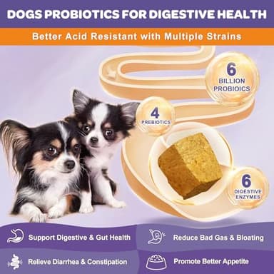 NATURE TARGET Probiotics for Dogs, 6 Billion CFUs, Freeze Dried Dog Probiotics with Prebiotics & Enzymes for Diarrhea, Gas, Vitamins & Omega 3 for Skin & Immune Health, Allergy Itch Relief, 180 Count - Image 2