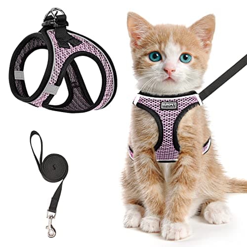 SALFSE Cat Harness and Leash for Walking Escape Proof, Adjustable Kitten Vest Harness Reflective Soft Mesh Puppy Harness for Outdoor, Comfort Fit, Easy to Control (Lpink, M) - Image 1