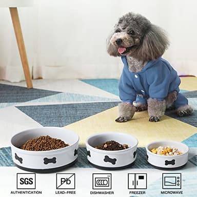 Sweejar Ceramic Dog Bowls with Bone Pattern, Dog Food Dish for Large Dogs, Porcelain Pet Bowl for Water 70 Fl Oz (Fog Blue) - Image 2