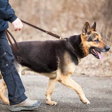 Leather Dog Leash 6ft x 3/4 inch,Heavy Duty Dog Training Leash,Strong Durable Genuine Leather Braided Dog Leash,Soft and Comfortable Dog Leashes for Medium and Large Dogs,Brown - Image 6