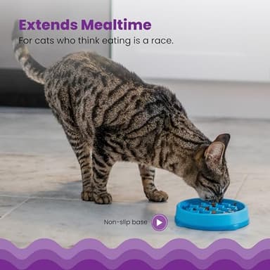 Catstages Kitty Slow Feeder Cat Bowl for Wet or Dry Cat Food, Helps Prevent Bloat & Improve Digestion, Non-Slip, BPA-Free, Small, Blue - Image 4