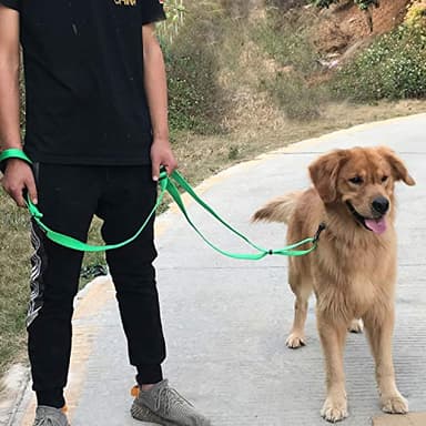 Hyhug Nylon Adjustable 4-6ft Dog Leash with Soft Neoprene Padded Handle, Durable Heavy Duty Leash with Easy-to-Use Bolt Snap, Ideal for Jogging Outdoor - Image 4