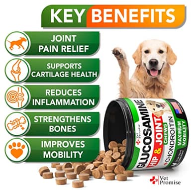 Vet Promise Glucosamine for Dogs - Hip and Joint Supplement for Dogs - Glucosamine Chondroitin - Joint Pain Relief Pills - MSM - Advanced Health Support Supplement - 120 Mobility Chews - Made in USA - Image 2