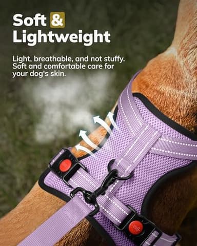 MIDOG No-Pull Dog Harness | Adjustable & Reflective Pet Harness Leash Set for Small Medium Large Dogs Walking, Training| No Choke, Front Clip, Soft Padded Vest with Easy Control Handle - Purple, S - Image 5