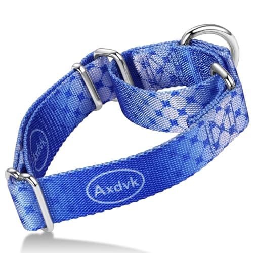 Axdvk Martingale Dog Collar Colorful Gradient Fashionable - Anti-Escape Soft Durable Pets Collar for Walking Training Outdoor Daily Use -Medium, Blue Ocean