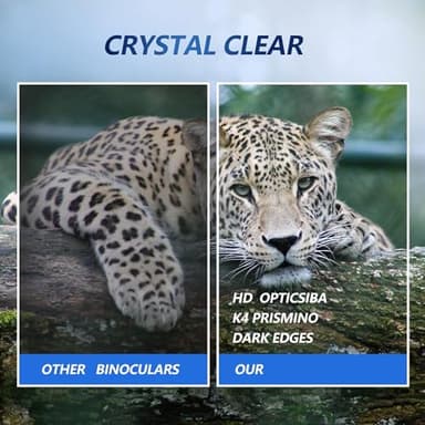 Outdoor Camera Binoculars for Travel & Concerts – 10x Zoom, HD Video, Lightweight Design (Black) - Image 3