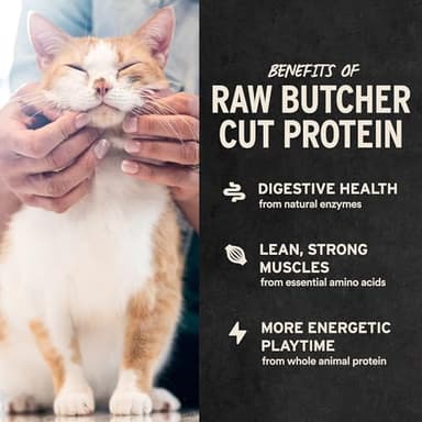 Vital Essentials Minnows Cat Treats, 1 oz | Freeze-Dried Raw | Single Ingredient | Grain Free, Gluten Free, Filler Free - Image 4
