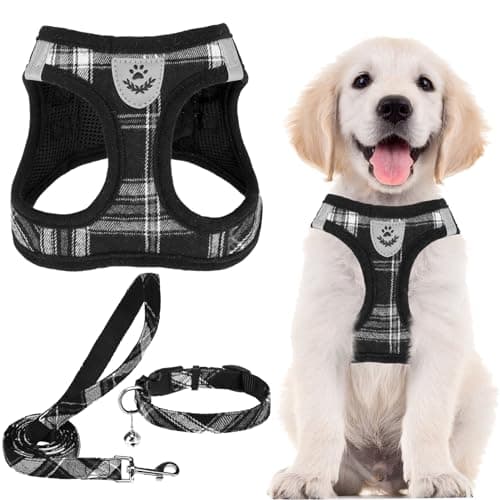 PUPTECK Adjustable Dog Harness Collar and Leash Set Step in No Pull Pet Harness for Small Medium Dogs Puppy and Cats Outdoor Walking Running, Soft Mesh Padded Reflective Vest Harnesses, Black XXS - Image 1