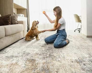 UERMEI 9x12 Area Rug Living Room Rugs - Washable Neutral Modern Abstract Soft Thin Large Rug Indoor Floor No Slip Rug Carpet for Bedroom Under Dining Table Home Office Decor - Golden Grey - Image 3