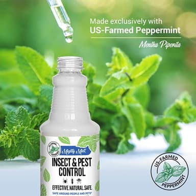 Mighty Mint Peppermint Oil Insect Repellent Spray – Natural Indoor & Outdoor Bug Control for Spiders, Ants, Roaches, and More – Plant-Based, Extra-Strong Formula - 16 oz - Image 3