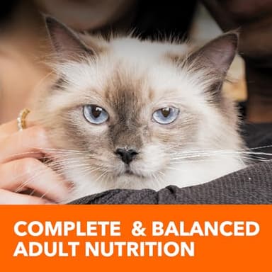 IAMS Proactive Health Indoor Weight Control & Hairball Care Adult Dry Cat Food, Chicken & Turkey Recipe, 16 lb. Bag - Image 11