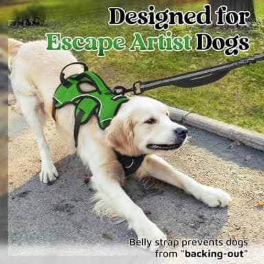 rabbitgoo Escape Proof Dog Harness, Soft Padded Full Body Pet Harness, Reflective Adjustable No Pull Vest with Lift Handle and Lesh Clip for Large Dogs Walking Hiking Training, M, Green - Image 3