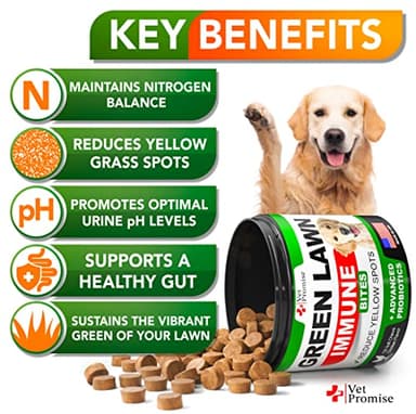 Grass Burn Spot Chews - Dog Urine Neutralizer for Lawn - 120 Grass Green Treats, Rocks - Pee Grass Spot Saver Caused by Dog Urine - Probiotics - Digestive Enzymes - Made in USA - Image 3