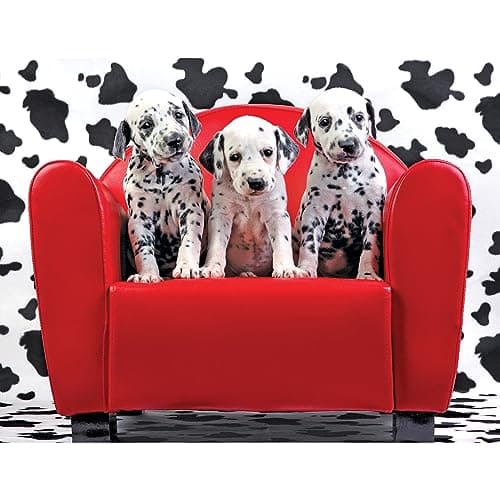 RoseArt - Kodak Premium - Lots of Spots - 100 Piece Jigsaw Puzzle for Adults - Image 1