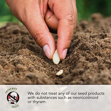 Seed Needs Sunflower Seeds to Plant Sunset Blend 7 Varieties Mix | 750+ Seeds Helianthus Annuus Heirloom Open Pollinated Bulk Flower Seed | Multicolored Sun Flowers Garden Favorite - Image 6