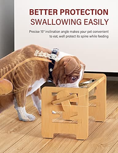 Vantic Elevated Dog Bowls, Adjustable Raised Dog Bowl Stand for Small Puppy and Cats, Sturdy Bamboo Pet Food Feeder with 2 Stainless Steel Dishes, Natural - Image 4