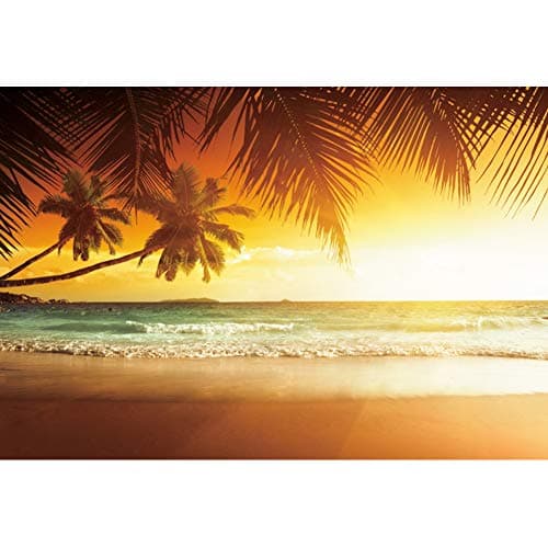 Haoyiyi 8x6ft Summer Tropical Backdrop Seaside Beach Sand Sunset Hawaii Palm Trees Photography Background Child Bride Lovers Artistic Portrait Photo Wedding Party Travel Summer Holiday Vacation Decor - Image 1