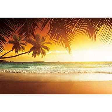 Haoyiyi 8x6ft Summer Tropical Backdrop Seaside Beach Sand Sunset Hawaii Palm Trees Photography Background Child Bride Lovers Artistic Portrait Photo Wedding Party Travel Summer Holiday Vacation Decor - Image 1