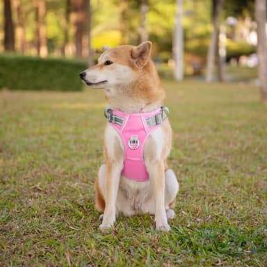 PHOEPET No Pull Dog Harness, Unique Colors Reflective Adjustable Dog Vest, with Soft Training Handle Metal Clips for Small Medium Large Dogs (Baby Pink Base & Grey Straps,S) - Image 3