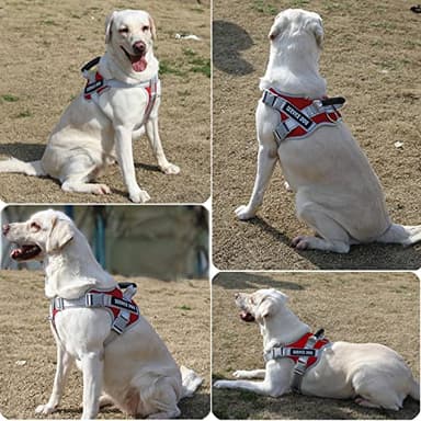 Dogmify Service Dog Vest,No Pull in Training Service Dog Harness and 5FT Dog Leash Set, Adjustable 3M Reflective Nylon Pet Dog Vest with Handle,Easy Control for Small Medium Large Dogs(L,Red) - Image 5
