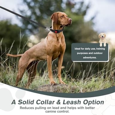 Martingale Collar for Dogs, Reflective Nylon Dog Collar with One 70.86 in Long Dog Leash, Quick Release Buckle, Adjustable Nylon Collars for Dogs Walking Training (Black M - Image 8