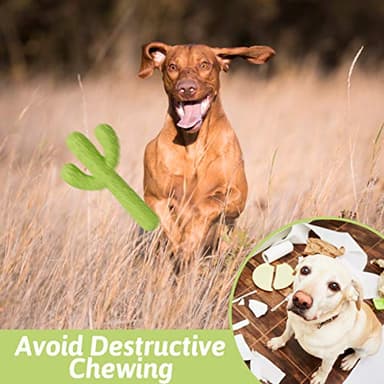 MewaJump Dog Chew Toys for Aggressive Chewers, Durable Rubber Cactus Tough Toys for Training and Cleaning Teeth, Interactive Dog Toys for Small/Medium Dog - Image 5