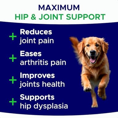 Glucosamine for Dogs Hip & Joint Supplement - Chondroitin, Omega-3, MSM - Joint Health & Pain Relief - Senior & Large Dogs - Made in USA - 120 Mobility Chews - Image 3
